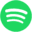 Custom Link favicon